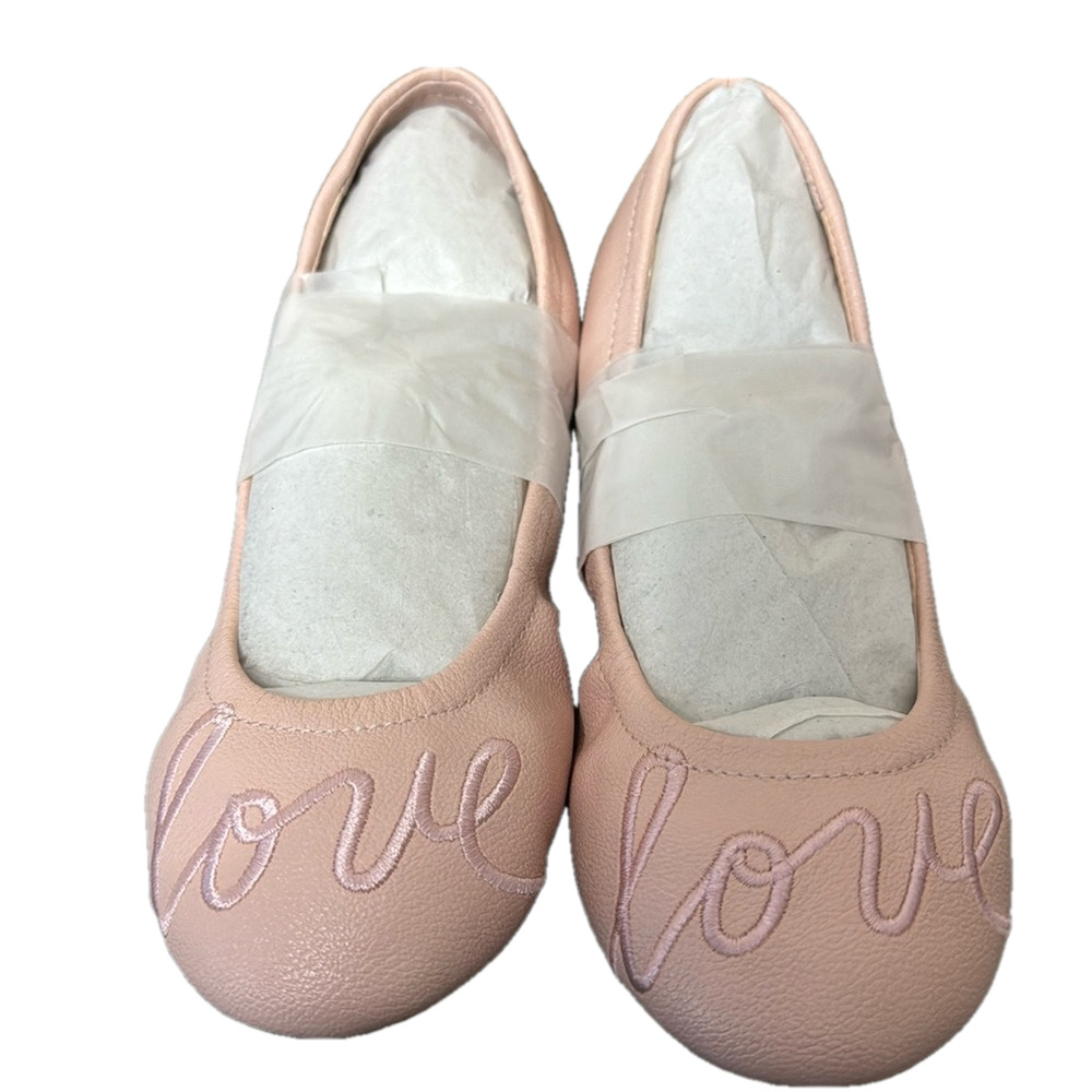 Embroidered Ballet Flats By Ellen Degeneres NWT